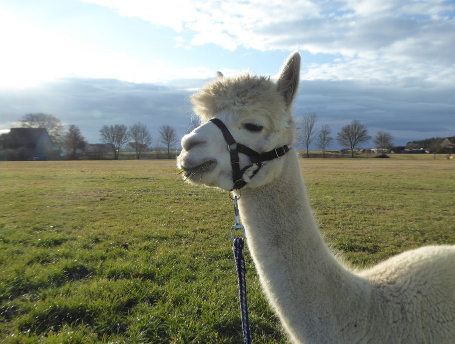 Das ist unsere Sally